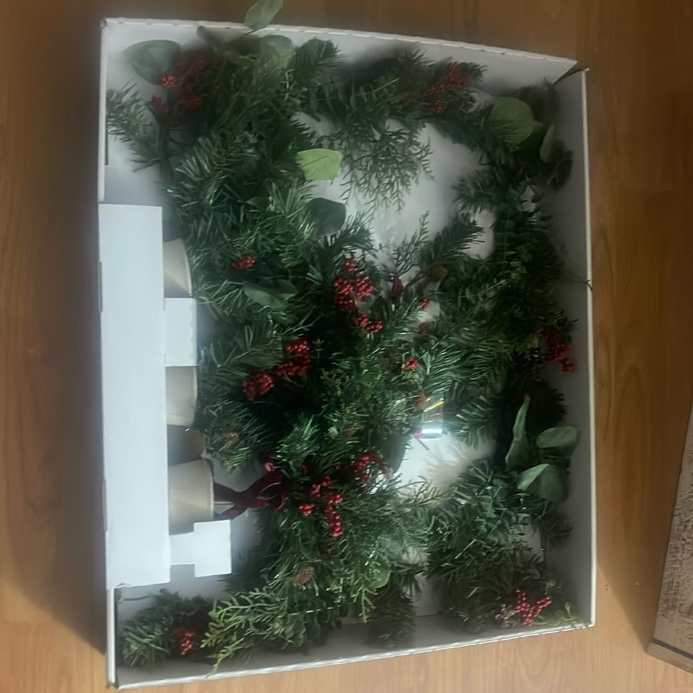 NIB Wondershop Target Tablescape Greenery Set* see 2nd photo w crack